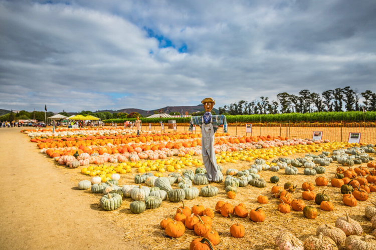 Underwood Family Farms
