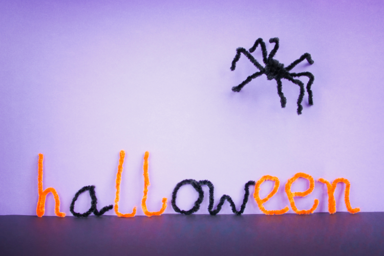 fake spider for halloween