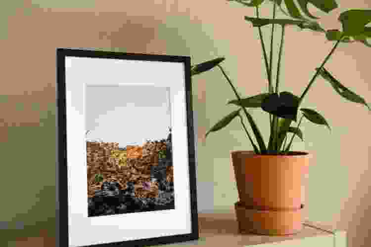 framed photo