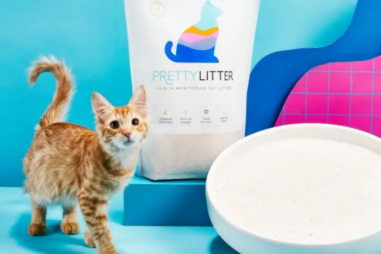 Cat Litter Subscription