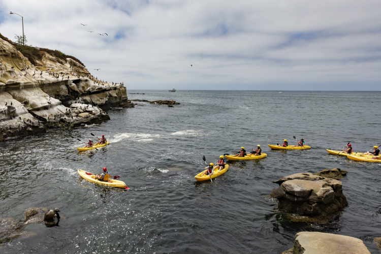 La Jolla Sea Cave Kayaks