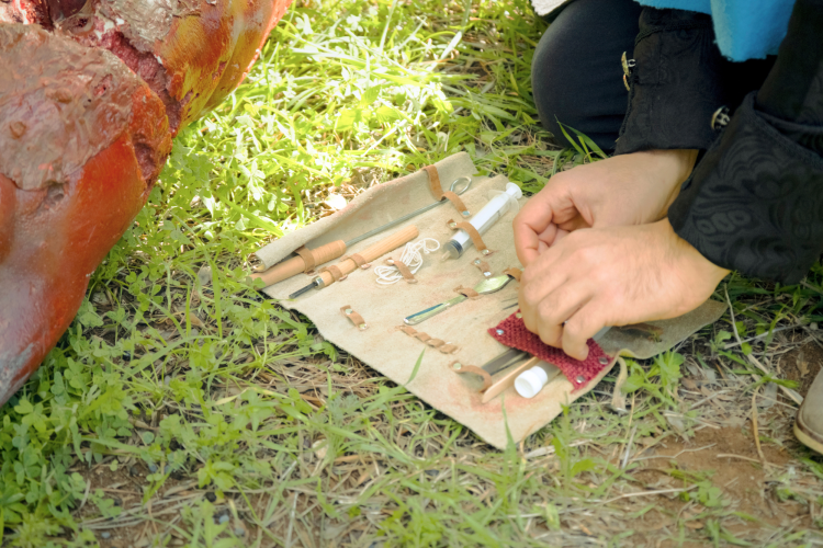 LARP healer doing cosplay and costume play