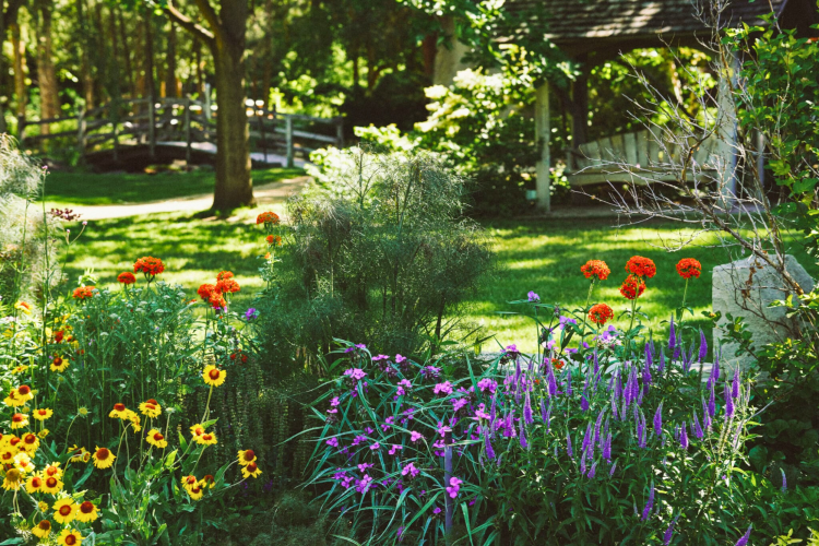 flowers at the idaho botanical garden