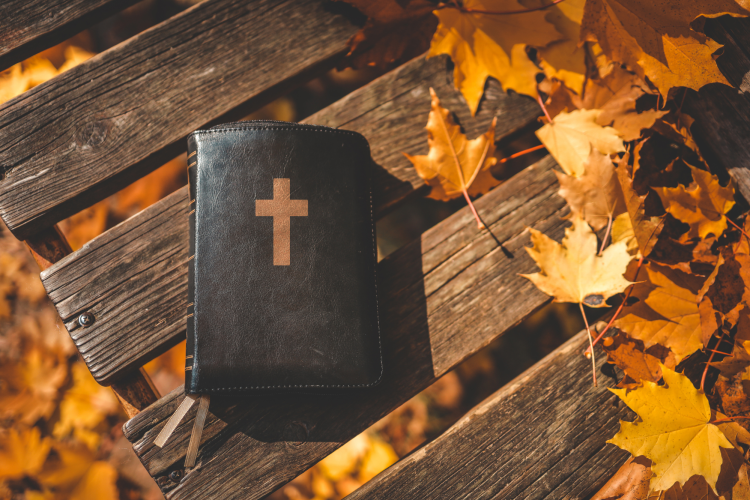 a bible with fall scenery