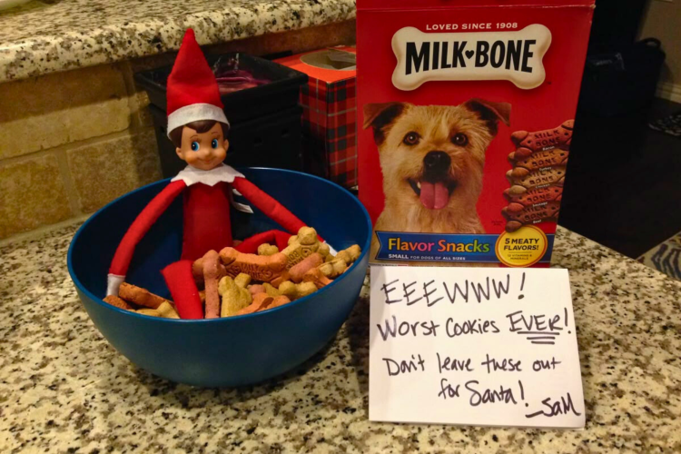 elf on the shelf with dog biscuits
