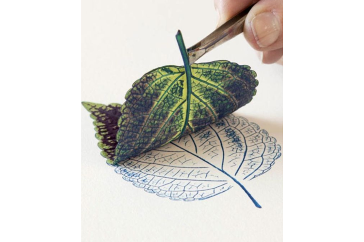 leaf rubbing art