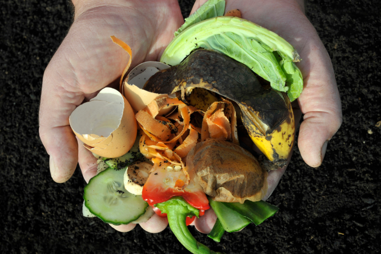 person holding items to place in the DIY compost bin