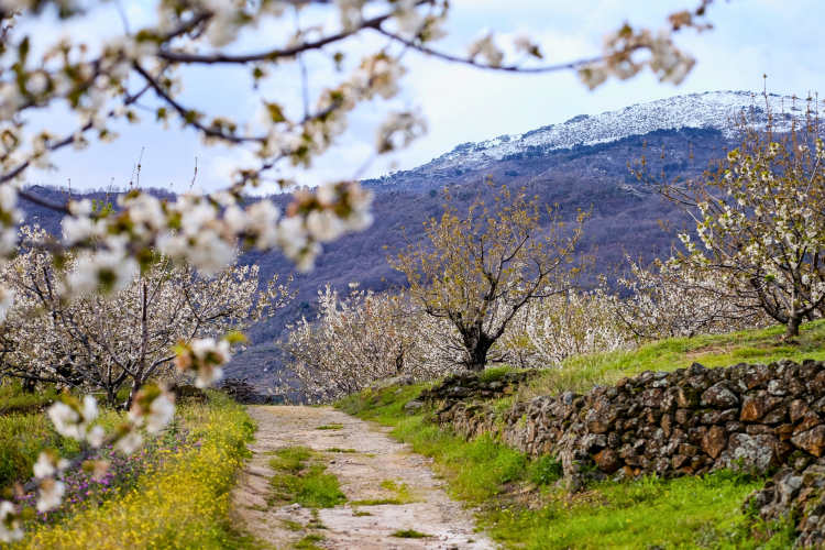 Jerte Valley in Spain