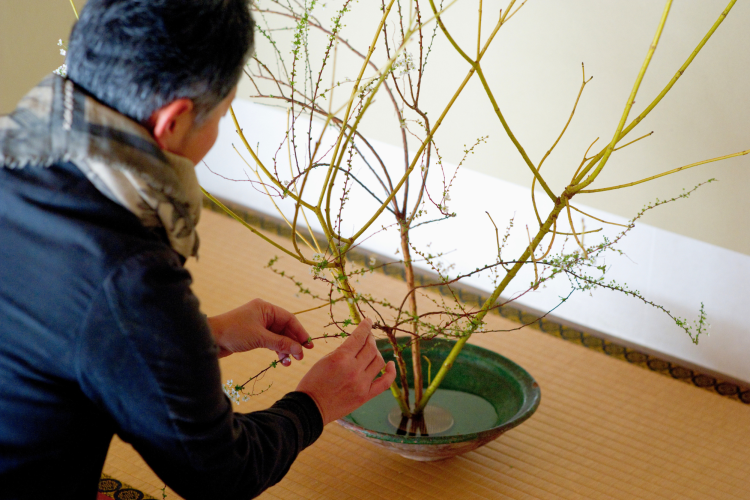 Ikebana Flower Arrangement