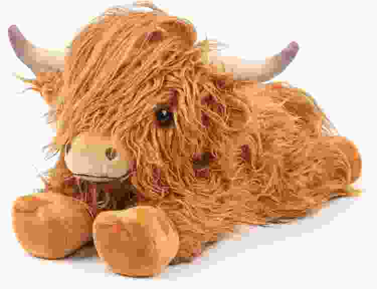 Cuckool Highland Cow