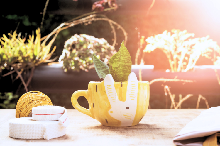 accessories on a patio