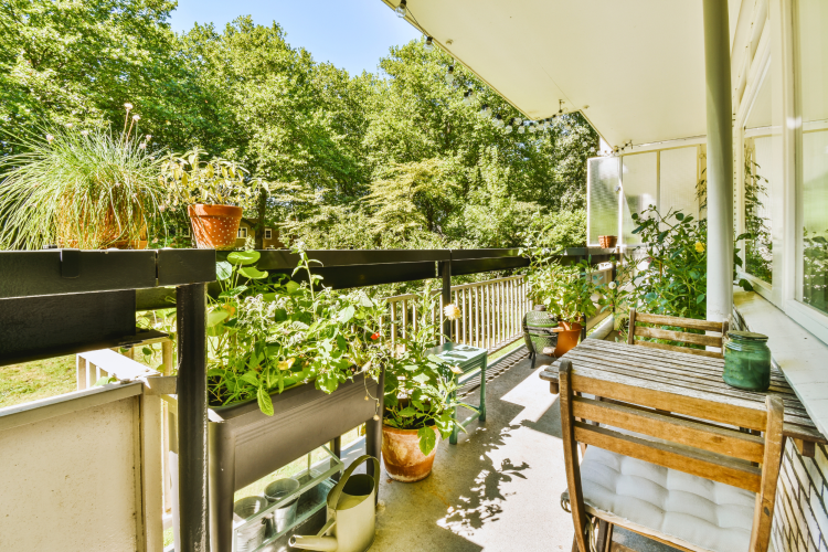 bright and sunny patio