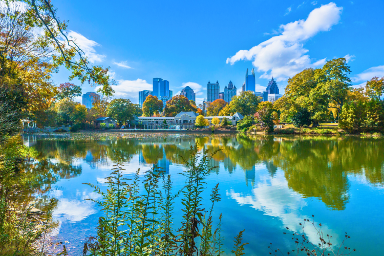 Piedmont Park in summer