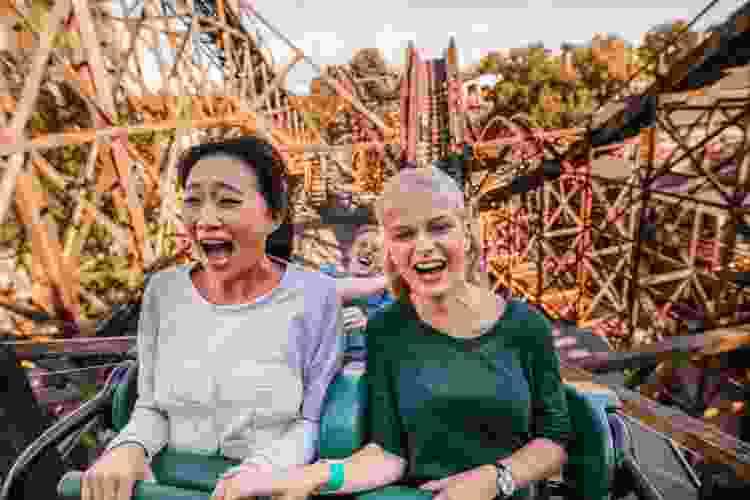 two people screaming on a roller coaster