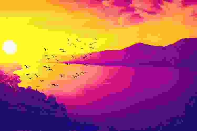 sunset with birds painting idea