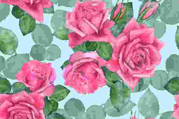 roses watercolor painting idea