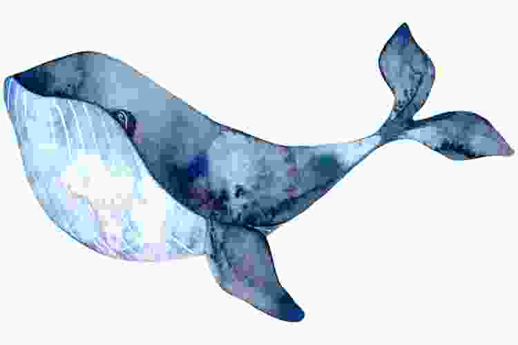 blue whale watercolor painting idea