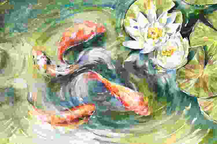 koi fish swimming in pond watercolor painting