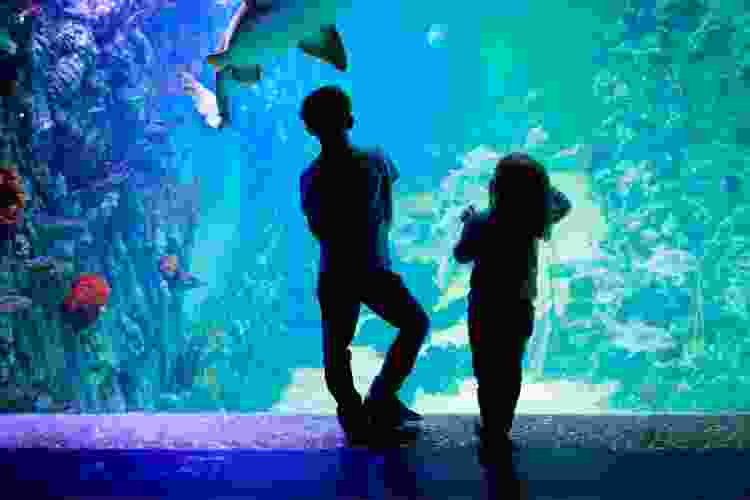 aquarium indoor activity in New Orleans for kids