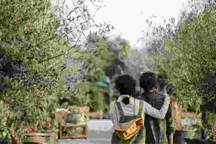 couple walking through an arboretum