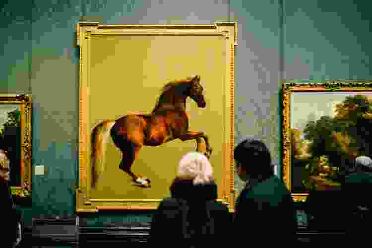 couple viewing giant horse portrait in art gallery