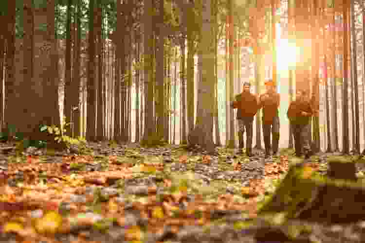 men walking in fall foliage forest