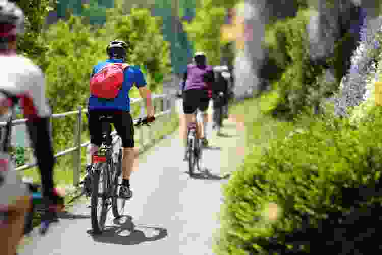 group riding bikes through park on a sunny day