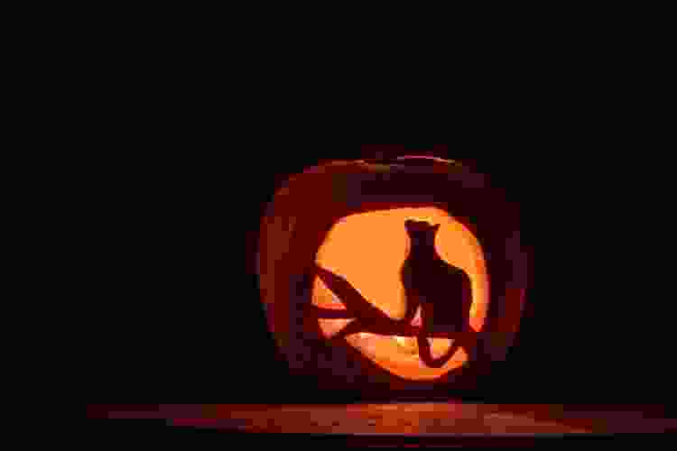 black cat easy pumpkin carving idea