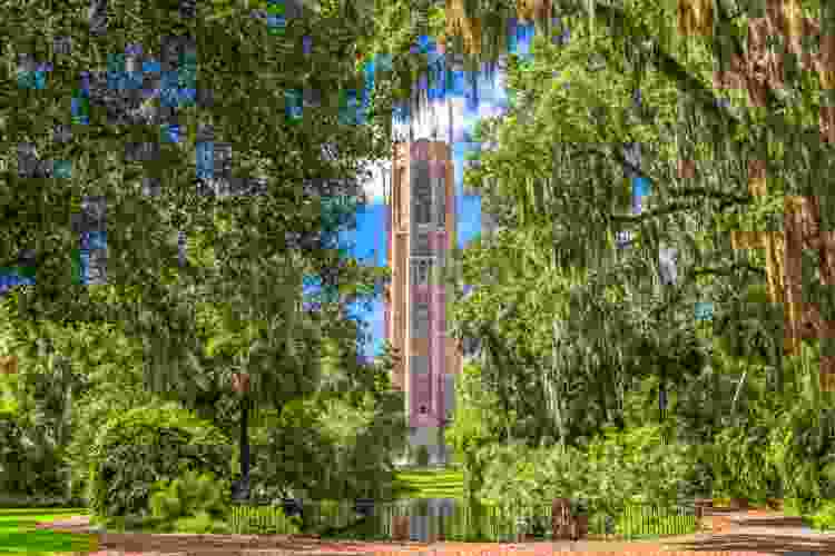 Bok Tower Gardens date idea in Orlando