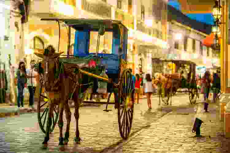 horse pulling carriage through busy street