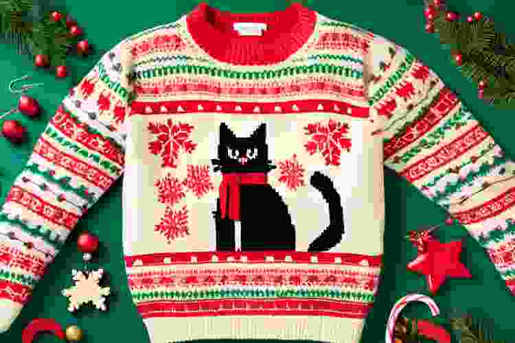 This ugly Christmas swear idea is great for crazy cat ladies. 