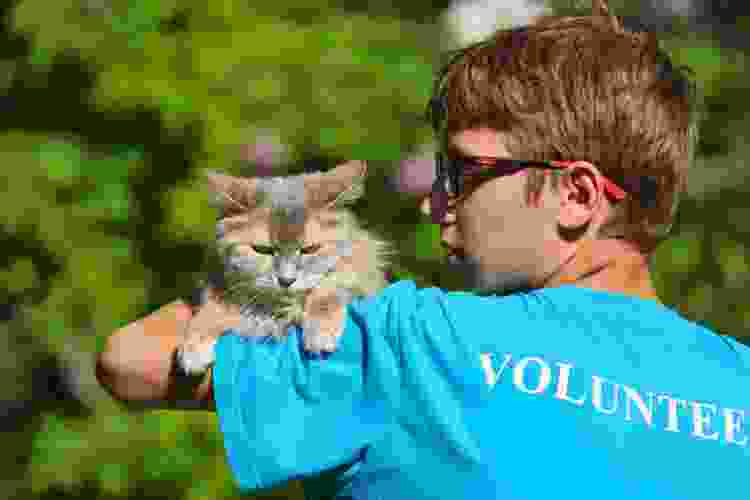 pet shelter volunteer holding grumpy cat