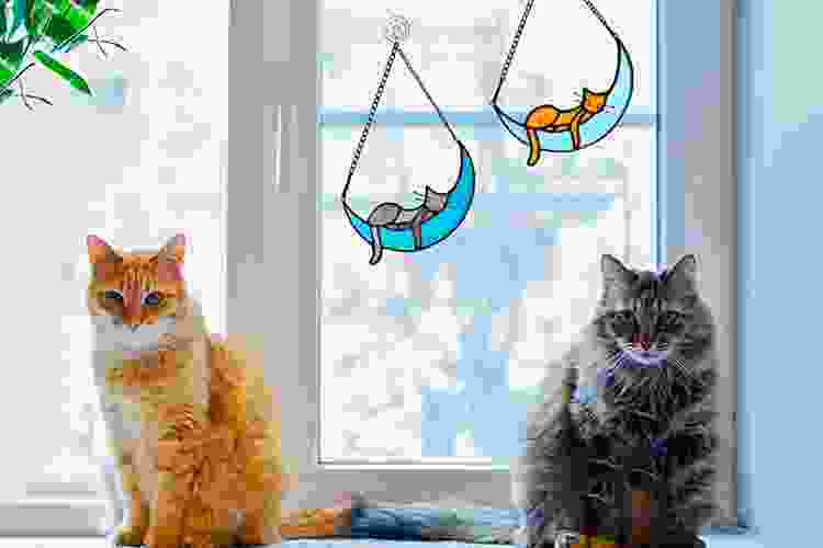 cat window hanger gifts for cat lovers