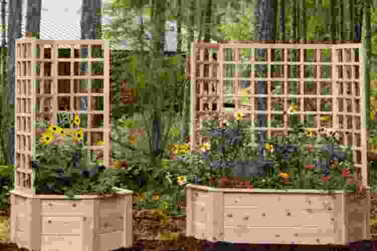 httpseartheasy.comnatural-cedar-hexagon-raised-beds-with-trellis