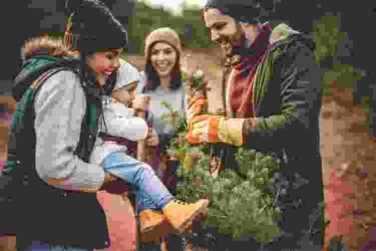 young family and child picking out tree at Christmas tree farm