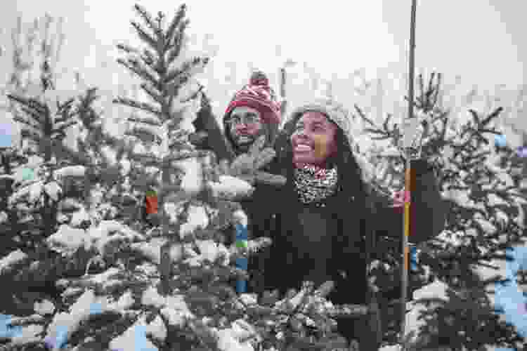 couple choosing tree at Christmas tree farm