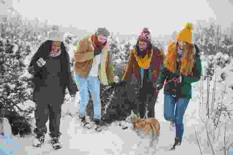 group of friends carrying live Christmas tree