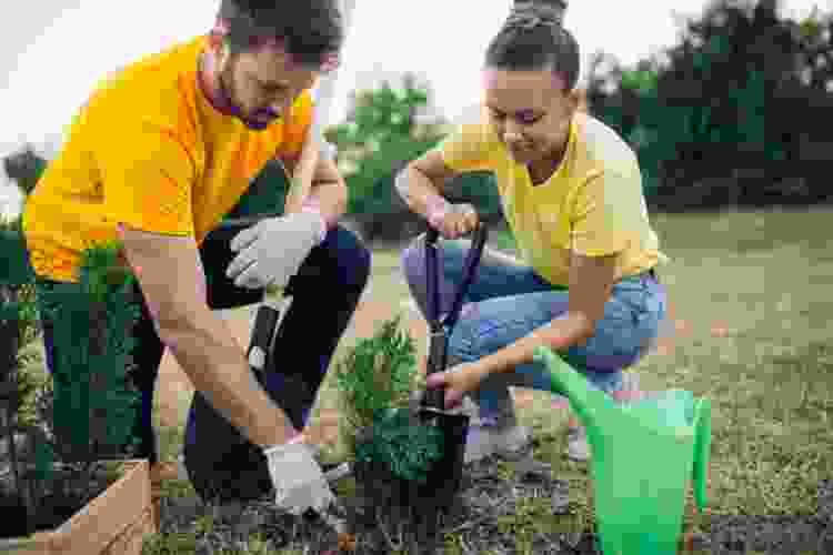 couple planting trees together 