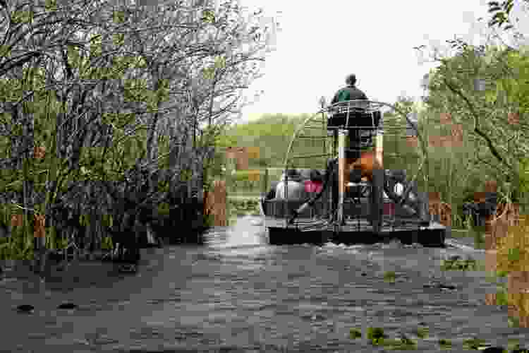 people on riverboat in the Florida everglades