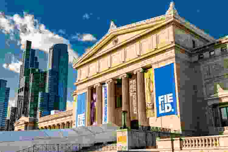 Field Museum date idea in Chicago