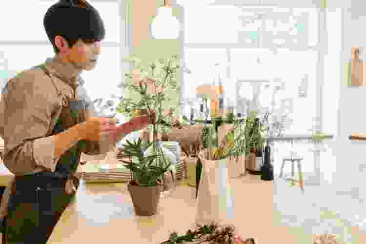 person arranging white flowers in vase