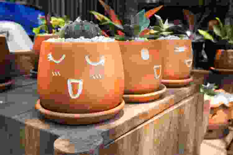 happy face on terracotta pot