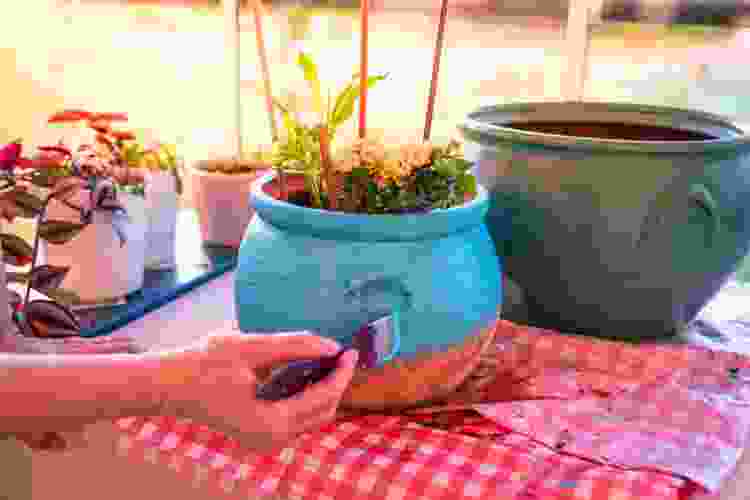 painting terracotta flower pot