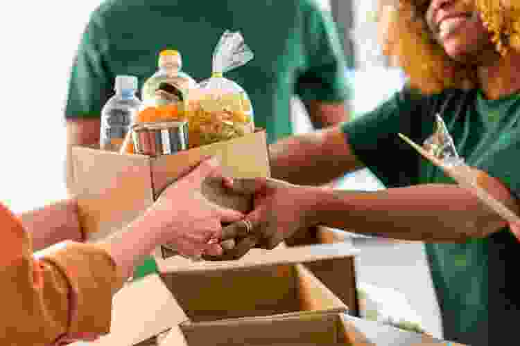 volunteer food bank Thanksgiving activity