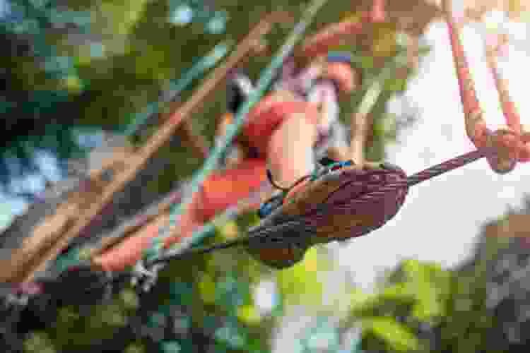 man standing on rope in ropes course