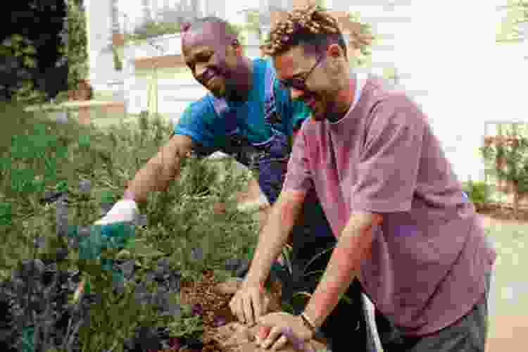 couple planting a garden together