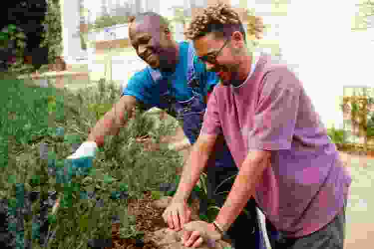 two people planting in the garden