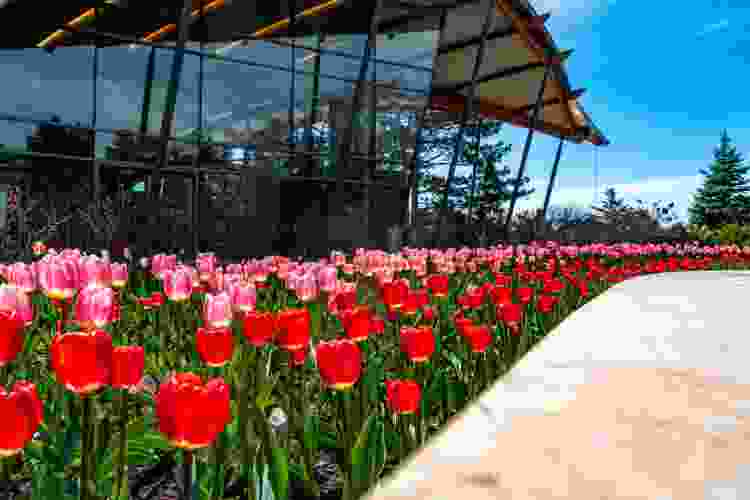 Royal Botanical Gardens date idea in Hamilton