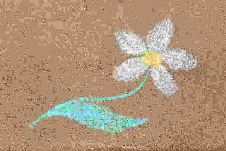 Chalk Flowers on the pavement is a creative Valentine's flower idea.