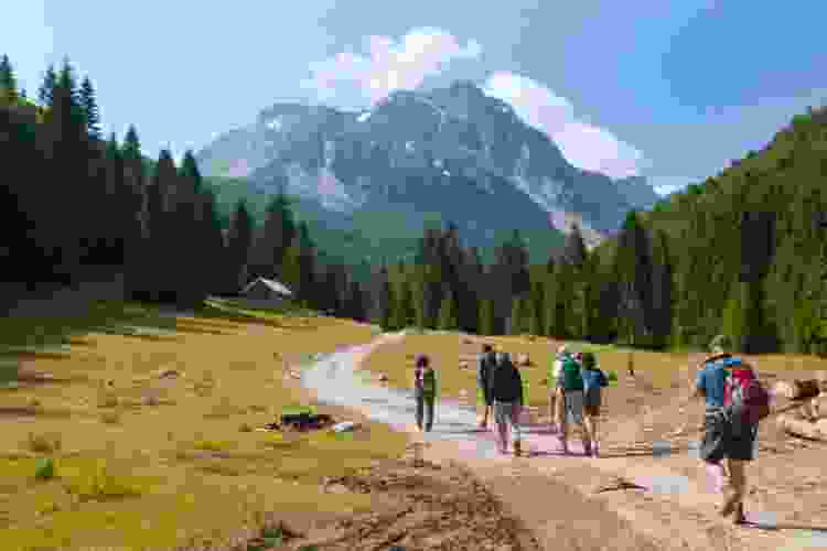 group of hikers hiking toward mountain